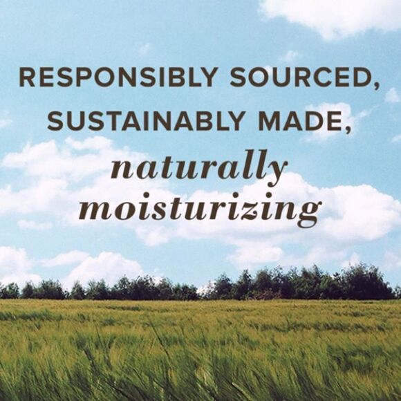 Burt’s Bee Satin Lipstick Set - Picture 11 of 14